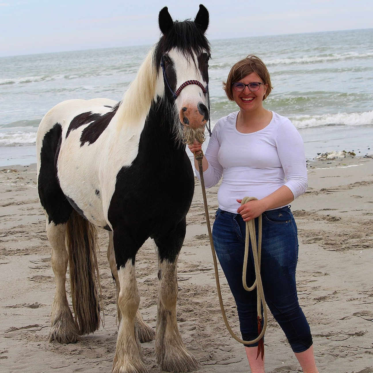 Crest participe au concours pour gagner de l'argent avec cette photo : beach, fun, horse, joy, mammal, mane, mare, mustang_horse, person, photography, recreation, riding_instructor, sand, sea, stallion, tourism, vacation, wildlife