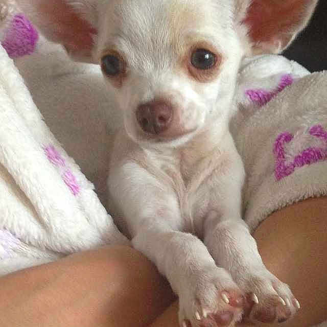 Princeton joined the competition — help win amazing prizes!