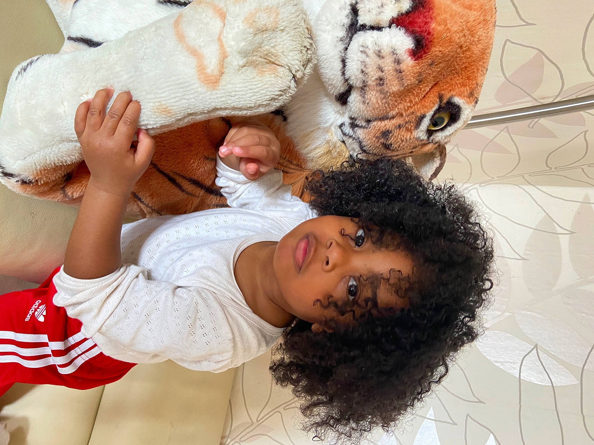 Ashadé participe au concours pour gagner de l'argent avec cette photo : abdomen, arm, beard, child, comfort, felidae, fun, fur, gesture, happy, human, human_leg, interaction, mammal, mouth, organ, person, stuffed_toy, textile, thigh