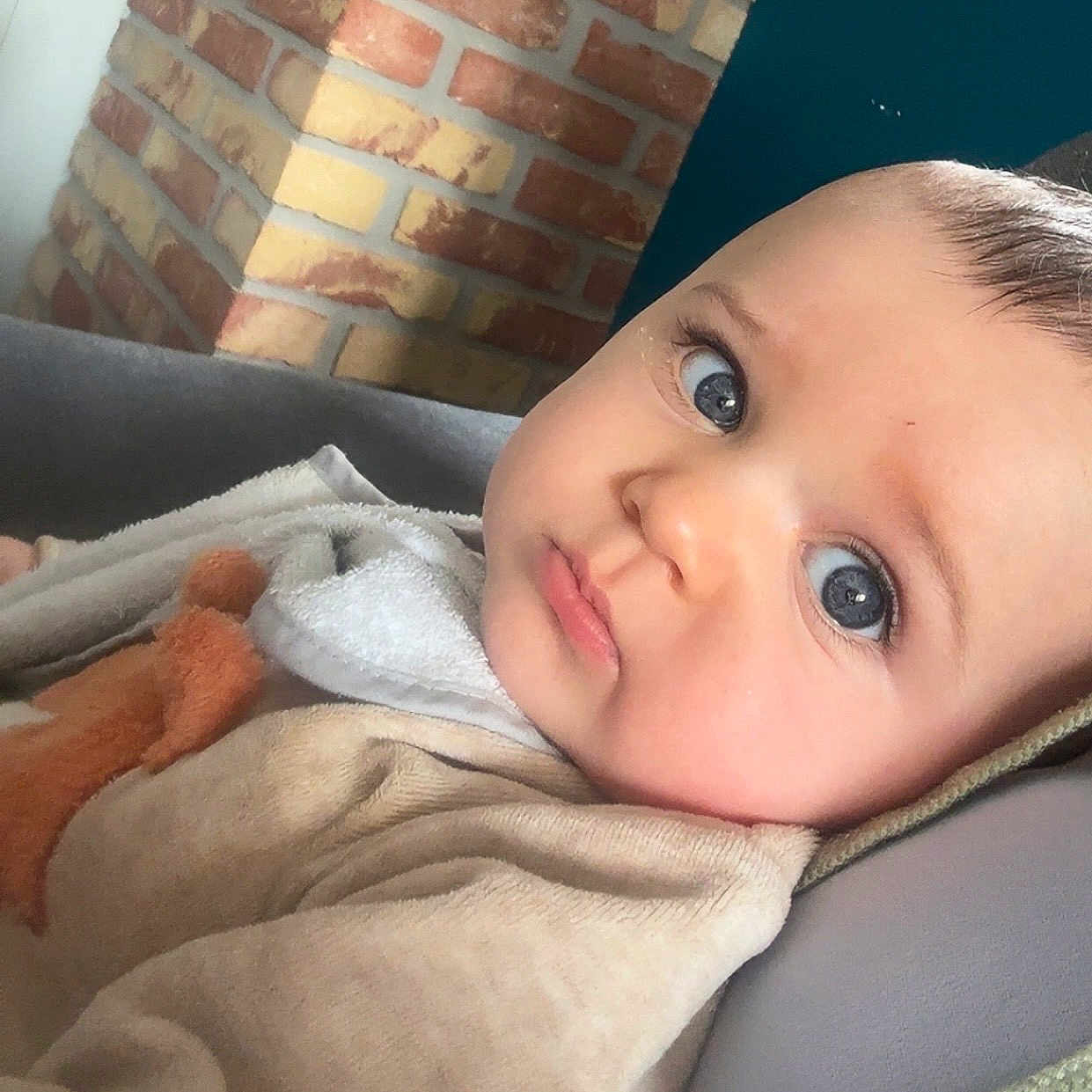 Ange a rejoint le concours — aidez-le/la à gagner de superbes lots ! baby, blanket, blue_eyes, brick_wall, child, closeup, clothing, couch, cozy, face, furniture, head, indoor, person, plush_toy, portrait, serious_expression, soft_lighting, toddler, warm_colors
