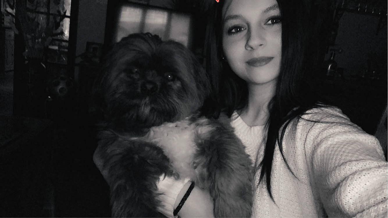 Cooky a rejoint le concours — aidez-le/la à gagner de superbes lots ! affenpinscher, black_and_white, black_hair, canidae, carnivore, chinese_imperial_dog, companion_dog, dog, dog_breed, eye, fur, non_sporting_group, pekingese, photography, puppy, shih_tzu, snout, sporting_group, style, toy_dog