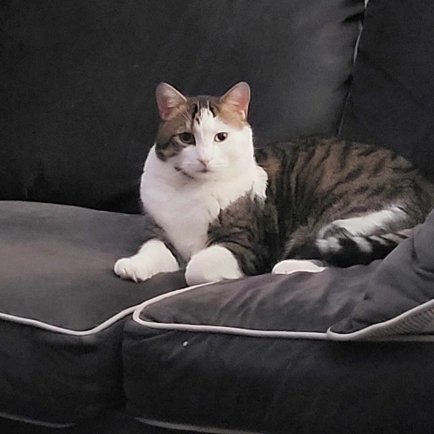 George