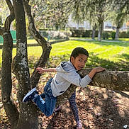Augustin a rejoint le concours — aidez-le/la à gagner de superbes lots ! activity, boy, branch, casual_clothing, child, curious, daylight, footwear, fun, grass, happy, leaves, nature, outdoor, park, person, play, sunlight, tree, young
