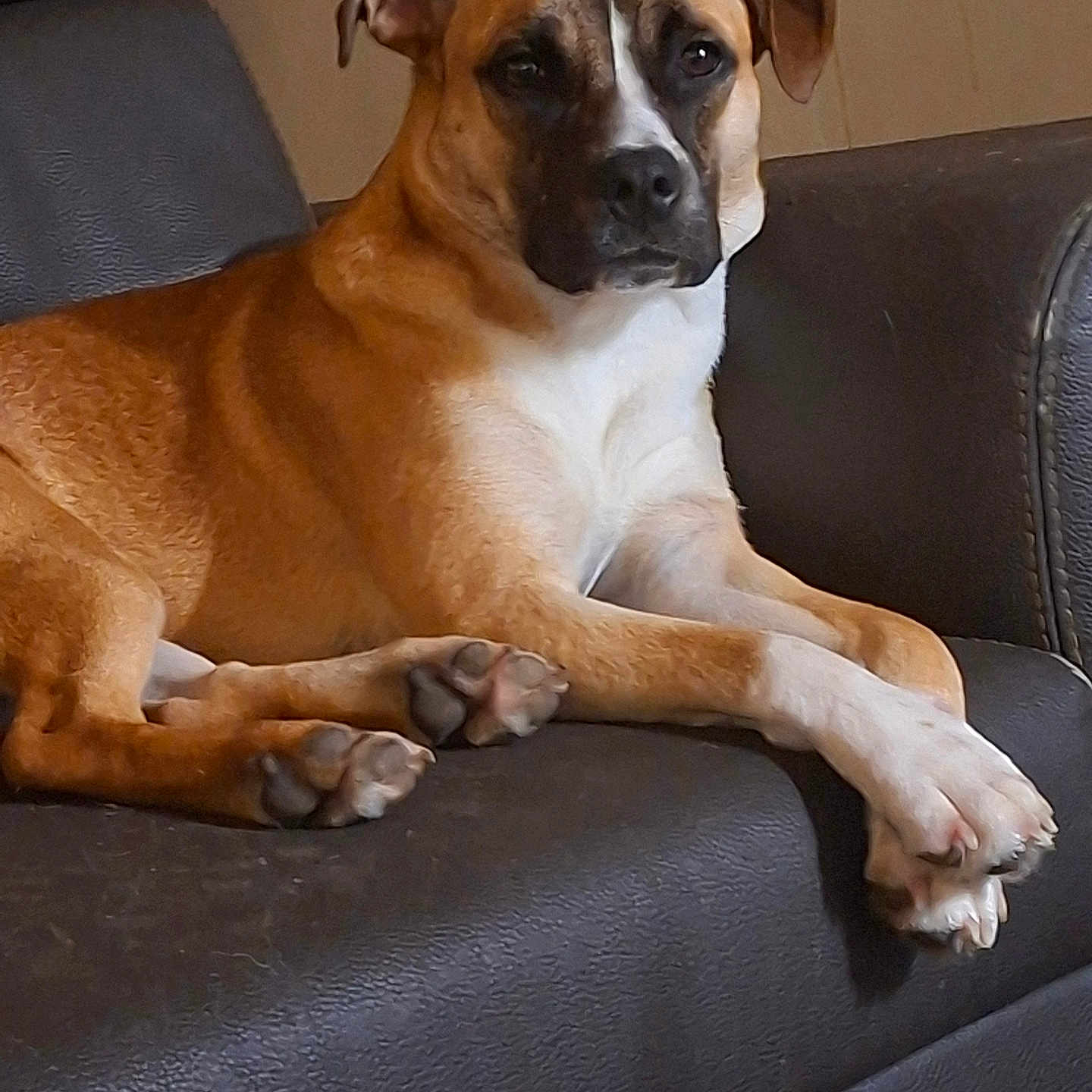 Freya