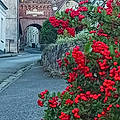 Thierry S.