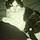 Dawn Coy-rutledge