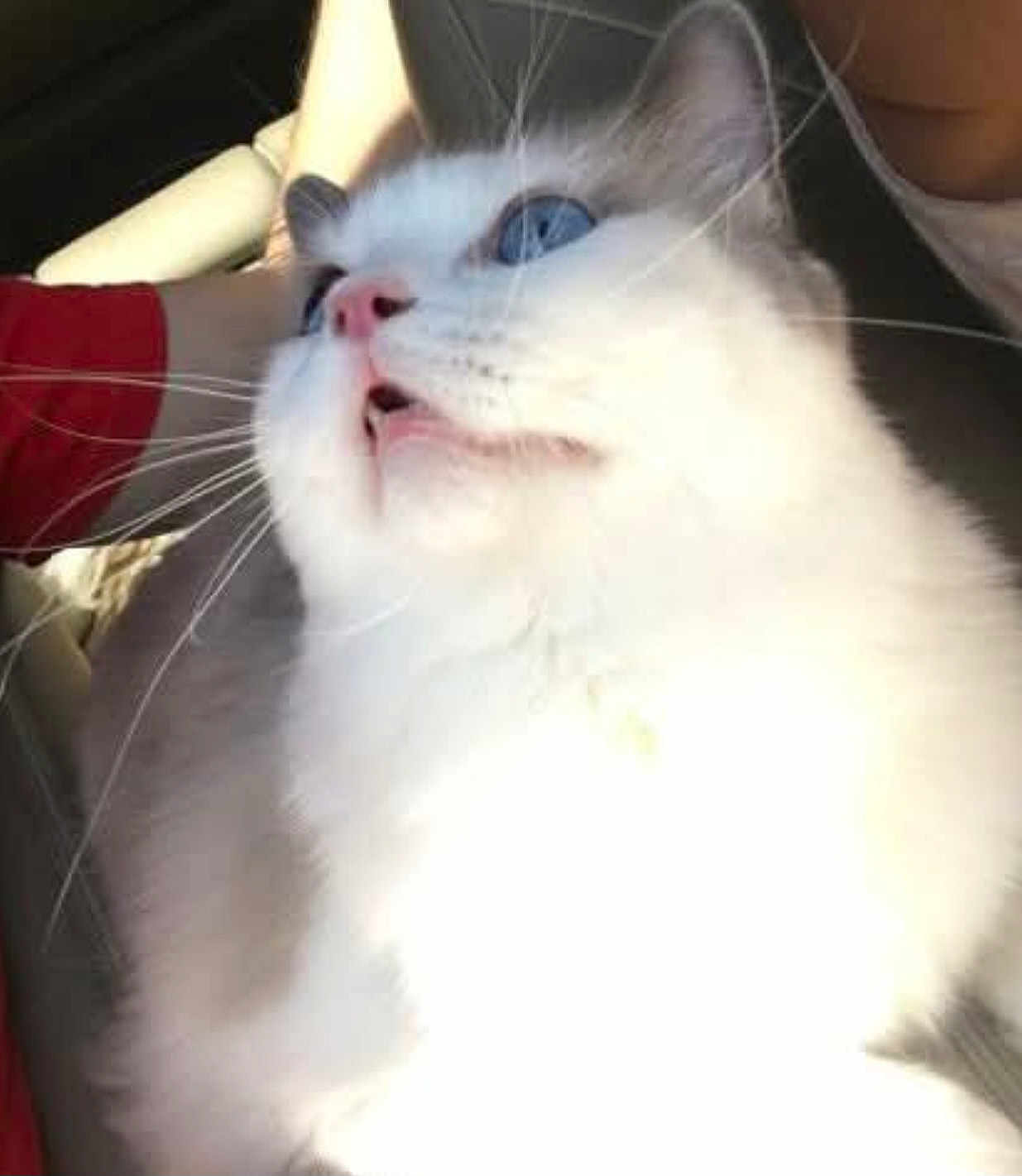 Zeus