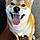 Ares