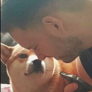 Ares joined the competition — help win amazing prizes! dog, man, pet, indoor, closeup, affection, face, hand, phone, fur, cute, companion, interaction, animal, friendship, portrait, love, loyalty, relaxation, bond