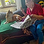 Ares joined the competition — help win amazing prizes! barefoot, blanket, casual_clothing, conversation, couch, dog, elderly_man, gesture, glasses, human, indoor, interaction, living_room, newspaper, pet, plant, relaxed, shiba_inu, sunlight, window