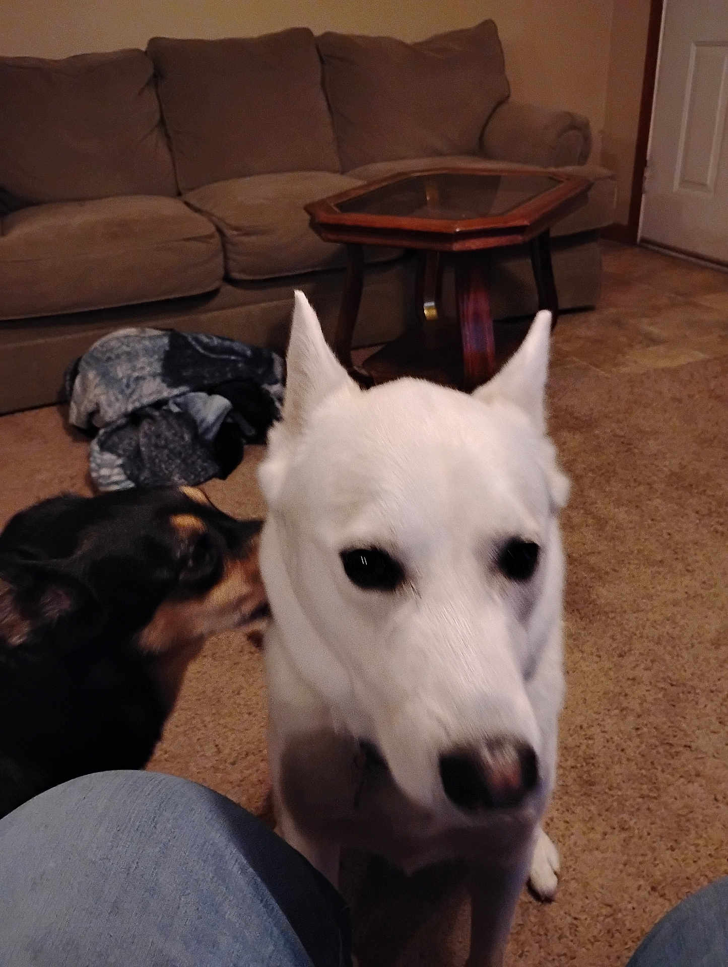 Max