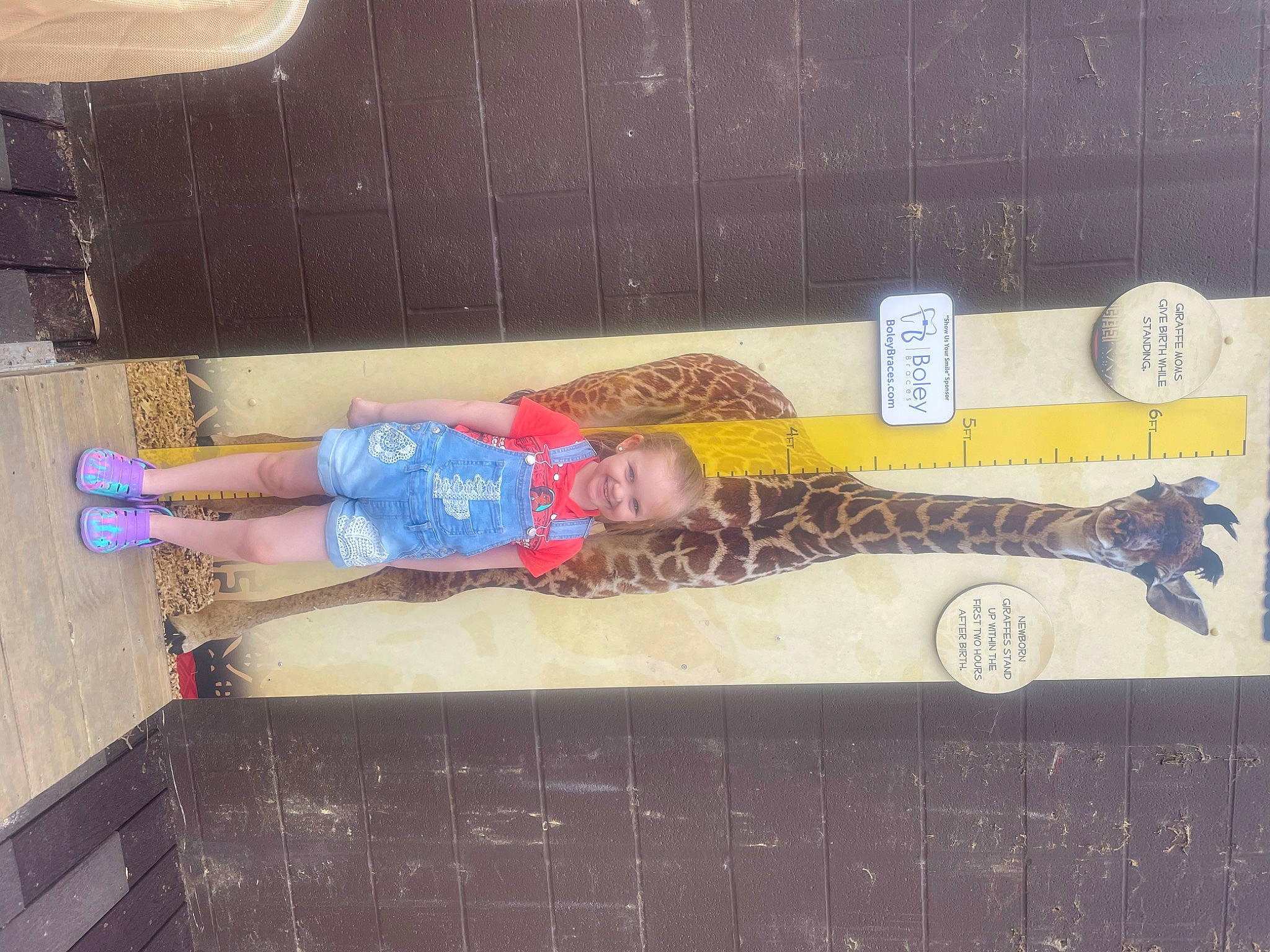 Piper is registered to the contest to win money with this photo: floor, flooring, fun, hardwood, human_leg, joy, leisure, pattern, person, rectangle, room, thigh, toddler, wall, wood