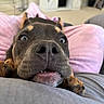 Hayzle is registered to the contest to win money with this photo: