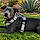 Sookie