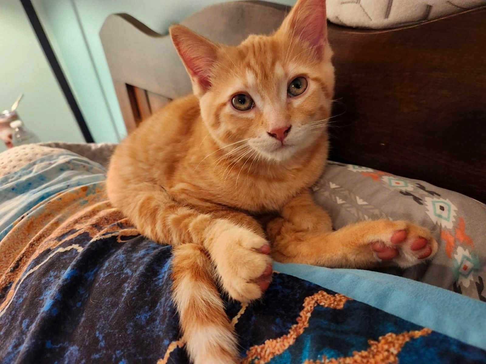 Oliver