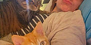 Vlad joined the competition — help win amazing prizes! woman, glasses, cat, kitten, tabby_cat, indoor, bed, couch, striped_clothing, pet, relaxing, cozy, feline, animal, person, eyewear, face, resting, domestic, comfort