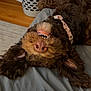 bed, blanket, brown, closeup, collar, cute, dog, ears, funny_pose, fur, home, indoor, laundry_basket, nose, pet, relaxed, smiling, teeth, upside_down, wooden_floor