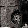 Asterixe a rejoint le concours — aidez-le/la à gagner de superbes lots ! animal, black_and_white, cat, cat_house, closeup, comfort, cozy, fabric, feline, home, indoor, peaceful, pet, quiet, resting, sleeping, soft_light, tabby, texture, whiskers