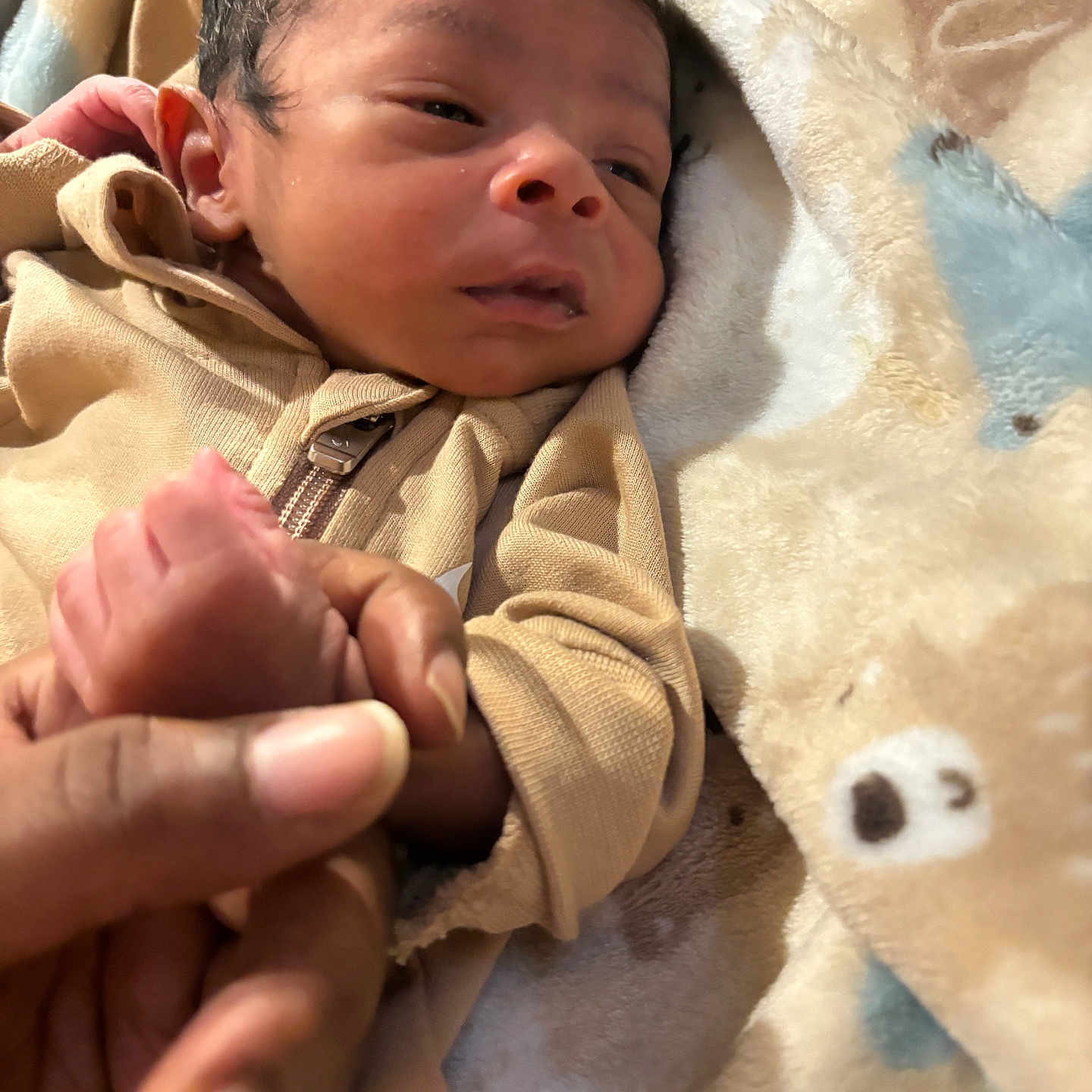 Sirius X is registered to the contest to win money with this photo: newborn, baby, infant, child, portrait, sleepy, face, hand, foot, tan_outfit, zipper, blanket, plush_blanket, cozy, indoors, close_up, lying_down, family, caregiving, soft_lighting