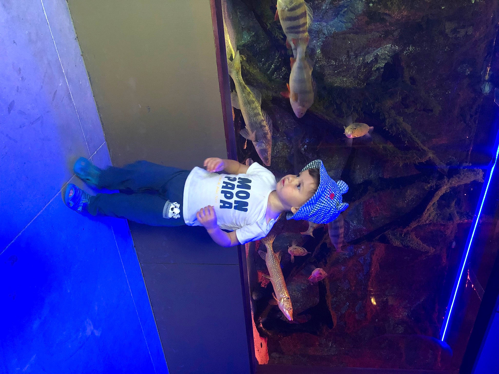 Lyam a rejoint le concours — aidez-le/la à gagner de superbes lots ! blue, costume, electric_blue, entertainment, event, fun, leisure, performance, performing_arts, person, public_event, purple, recreation, sports_uniform, sportswear, tree