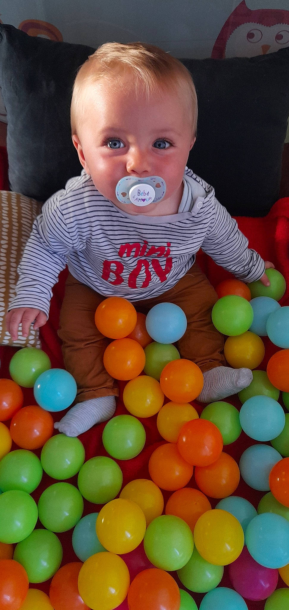 Tayson a rejoint le concours — aidez-le/la à gagner de superbes lots ! baby, baby_products, baby_toddler_clothing, baby_toys, ball_pit, cheek, child, circle, confectionery, event, fun, green, pattern, people, person, play, product, sitting, sweetness, toddler