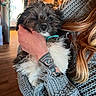 puppy, dog, pet, animal, small_dog, black_and_white, fluffy, scruffy, portrait, close_up, cuddling, woman, person, sweater, tattoo, brown_hair, indoors, wooden_background, teal_collar, cute