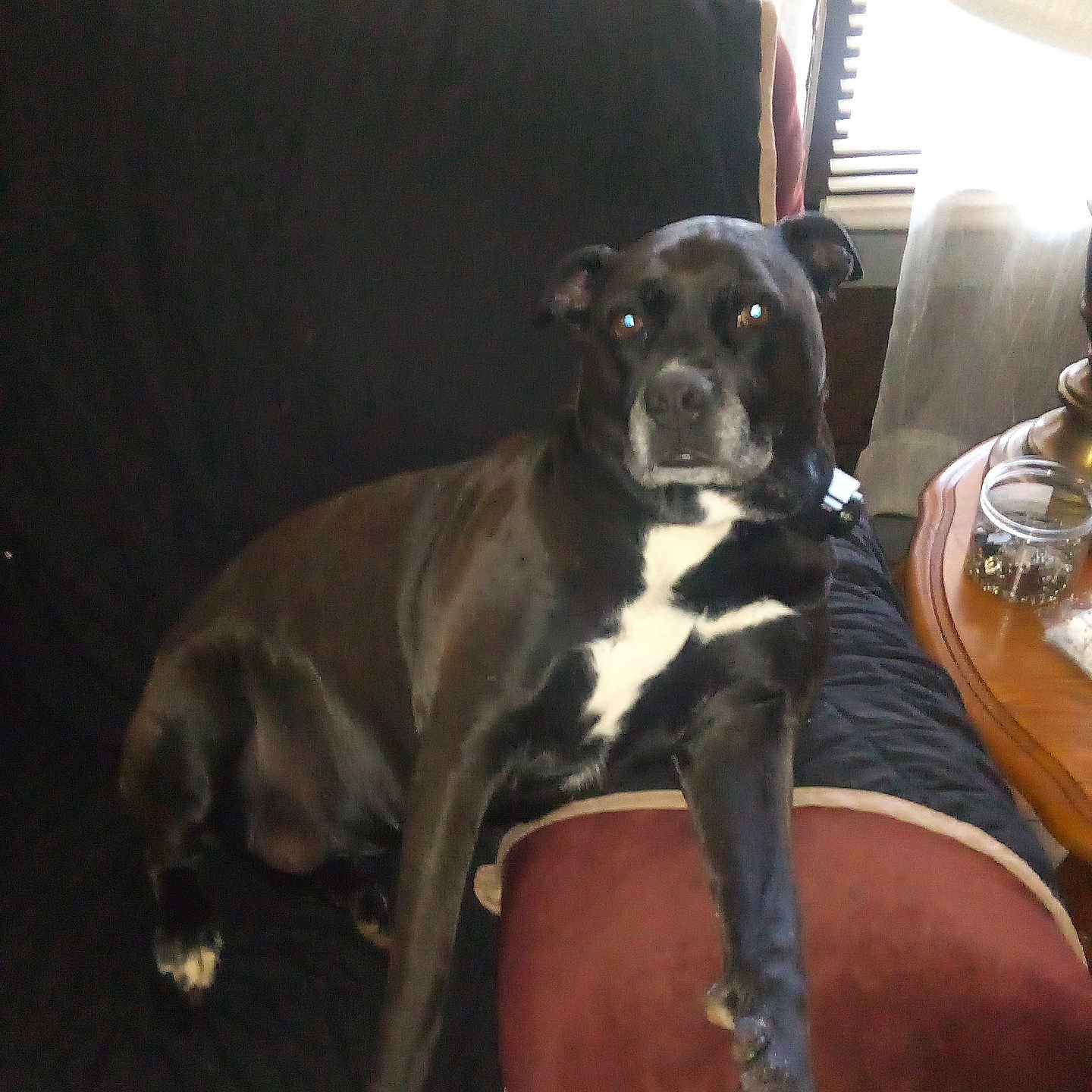 Maggie