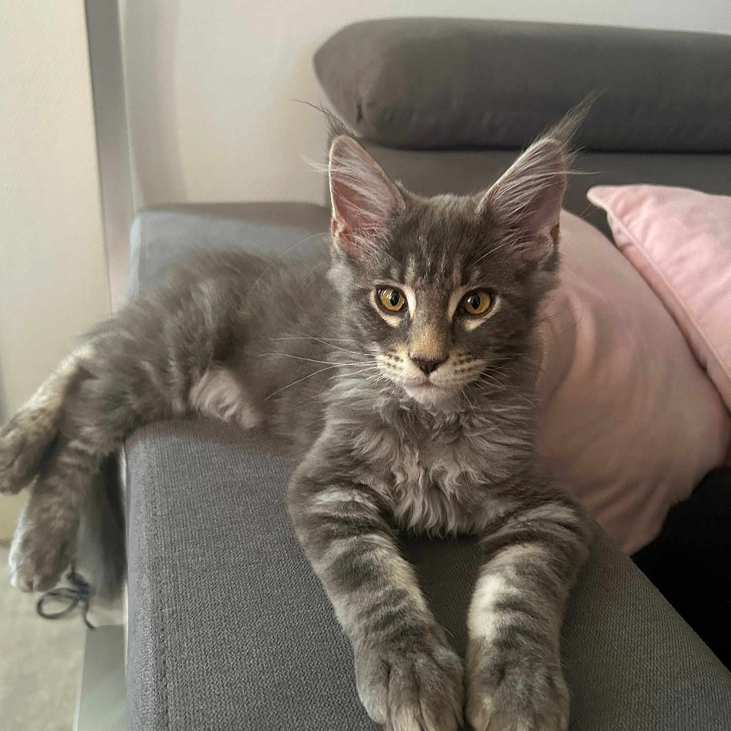 Ragnar
