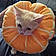 Meow-Mosa