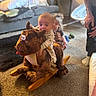 Daniel joined the competition — help win amazing prizes! baby, toddler, plush_toy, rocking_toy, living_room, carpet, sofa, adult, child, toy, playtime, smiling, happy, indoor, furniture, person, tattoo, blurred_background, cozy, family