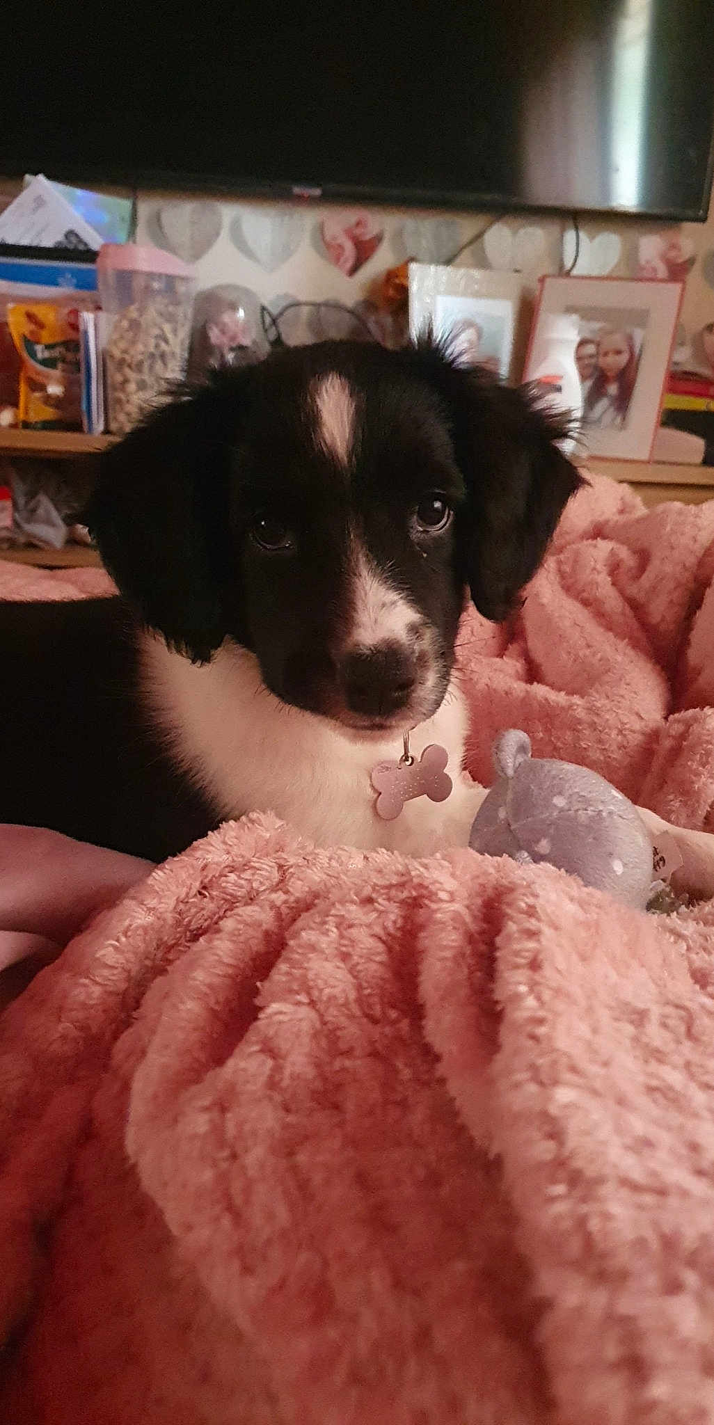 Nala