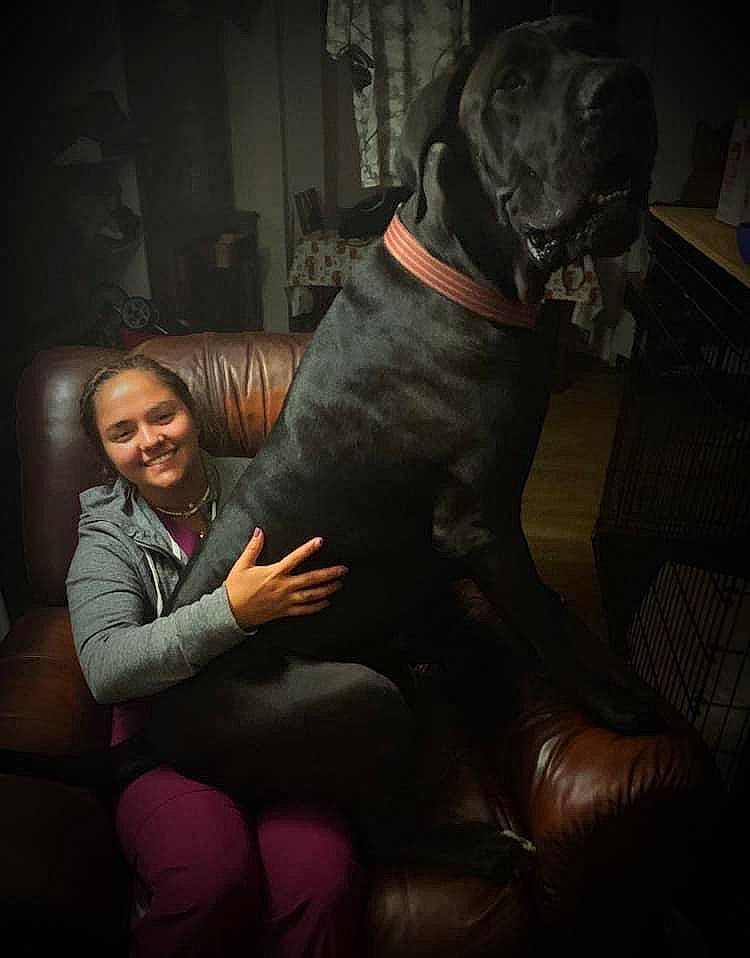 Elvis is registered to the contest to win money with this photo: carnivore, comfort, companion_dog, couch, darkness, dog, dog_breed, event, fawn, flash_photography, formal_wear, human_leg, knee, lap, sitting, smile, sporting_group, studio_couch, suit, thigh