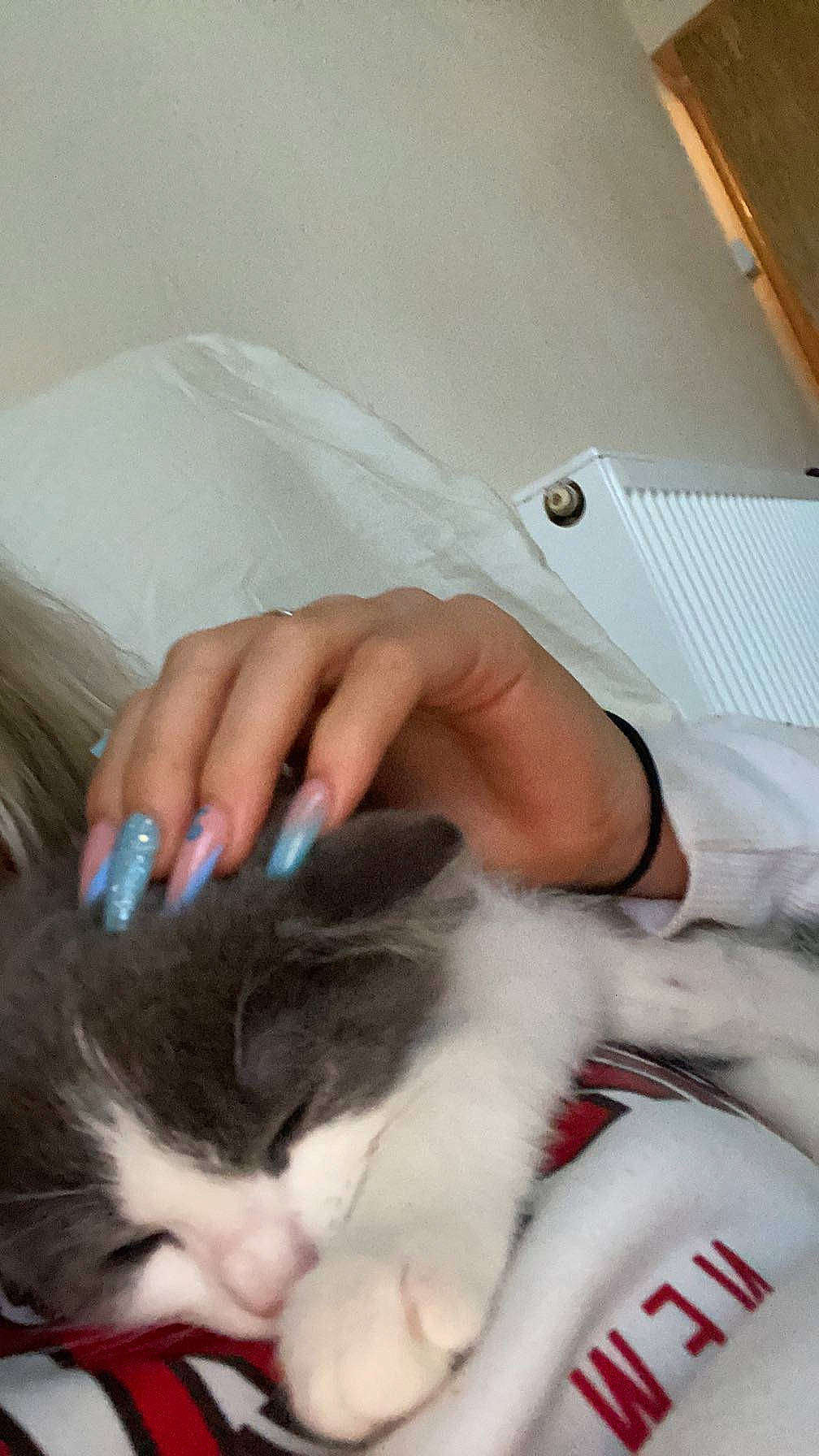 Pablo is registered to the contest to win money with this photo: carnivore, cat, comfort, domestic_short_haired_cat, ear, felidae, finger, fur, gesture, hand, lap, nail, paw, skin, small_to_medium_sized_cats, tail, vertebrate, whiskers, white, wrist