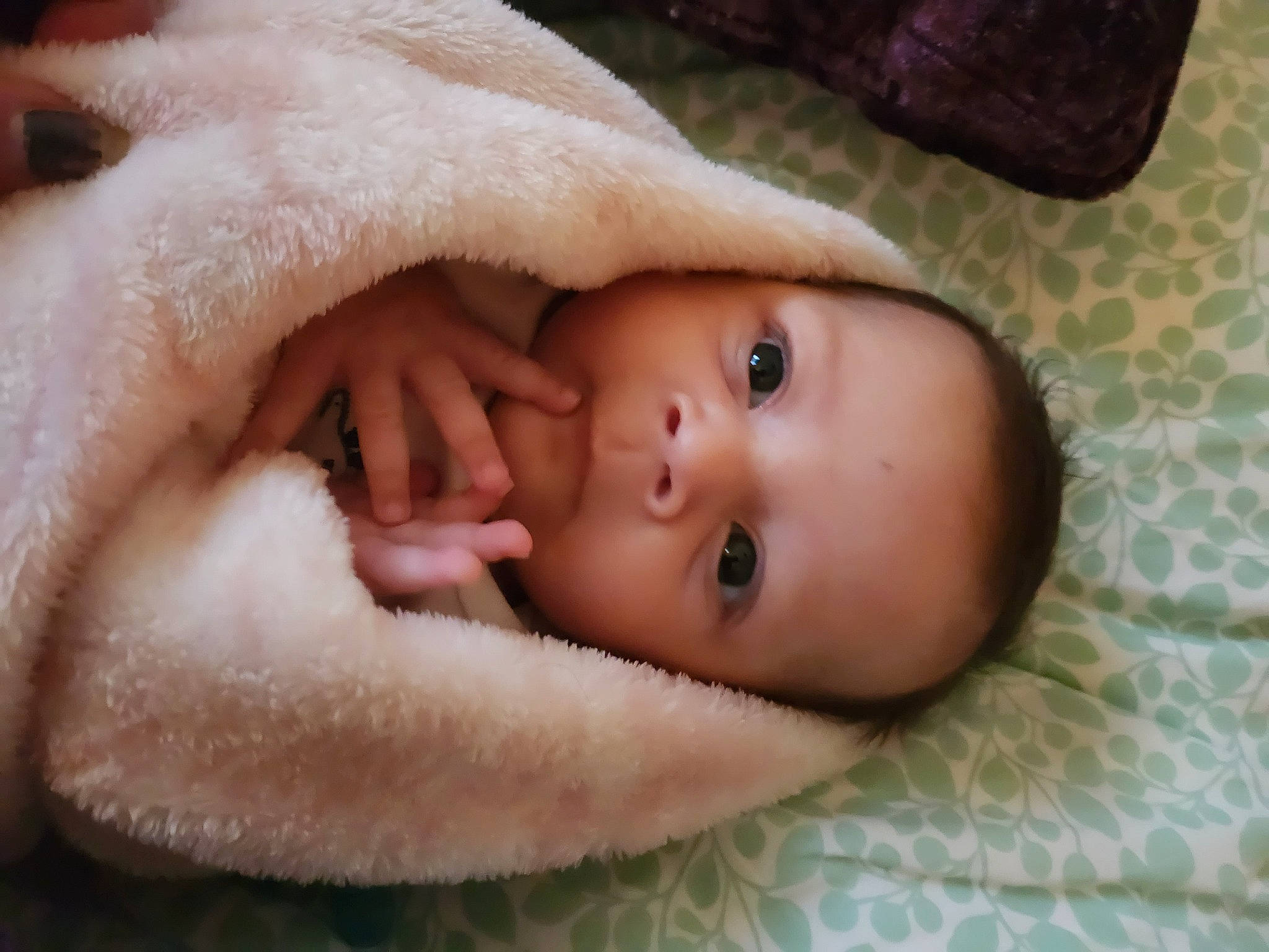 Emma'Lyn joined the competition — help win amazing prizes! baby, cheek, child, comfort, eyebrow, eyelash, flesh, fur, gesture, human_body, linens, lip, nose, person, portrait_photography, skin, sleep, toddler, wood