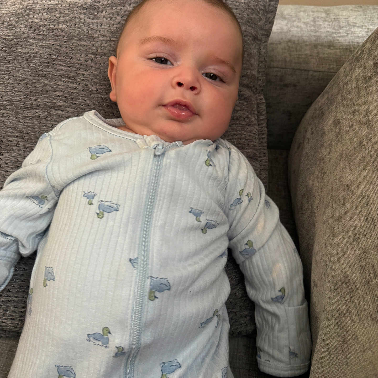 Adam joined the competition — help win amazing prizes! baby, infant, onesie, duck_print, cushion, gray, sofa, blanket, leopard_print, indoor, child, face, sleepy, cute, portrait, relaxing, soft_lighting, home, comfort, young