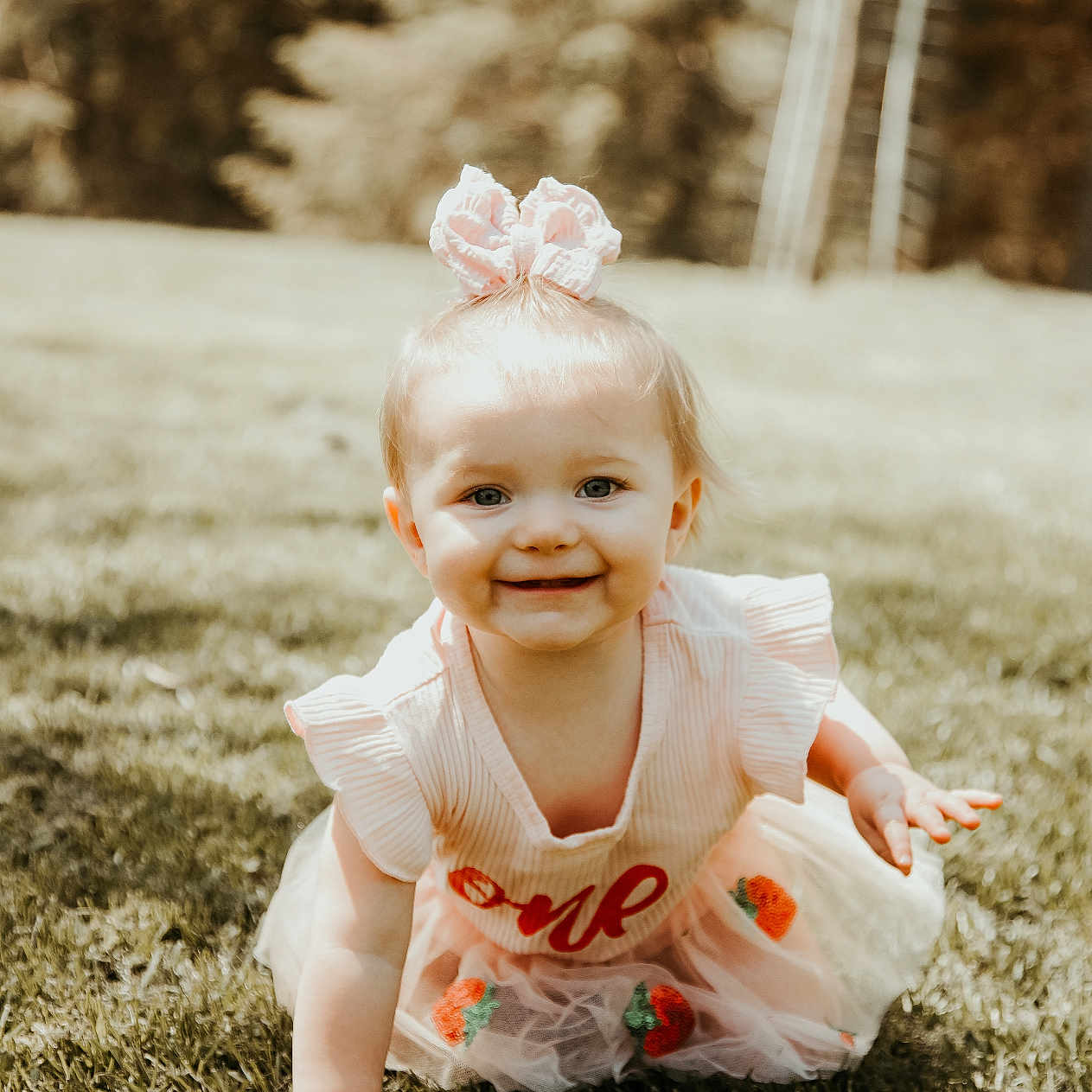 Willow is registered to the contest to win money with this photo: baby, backyard, clothing, crawling, dress, face, grass, happy, head, laughing, lawn, nature, outdoors, person, photography, plant, portrait, sitting, smile, yard