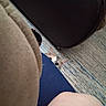 animal, carpet, cat, cautious, closeup, cozy, curious, ears, eyes, floor, furniture, hide_and_seek, home, indoor, leg, partial_view, peeking, pet, playful, resting