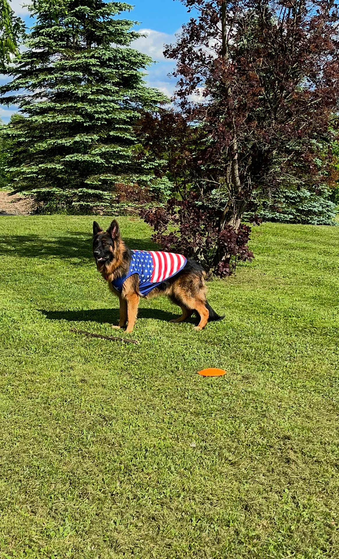 Max
