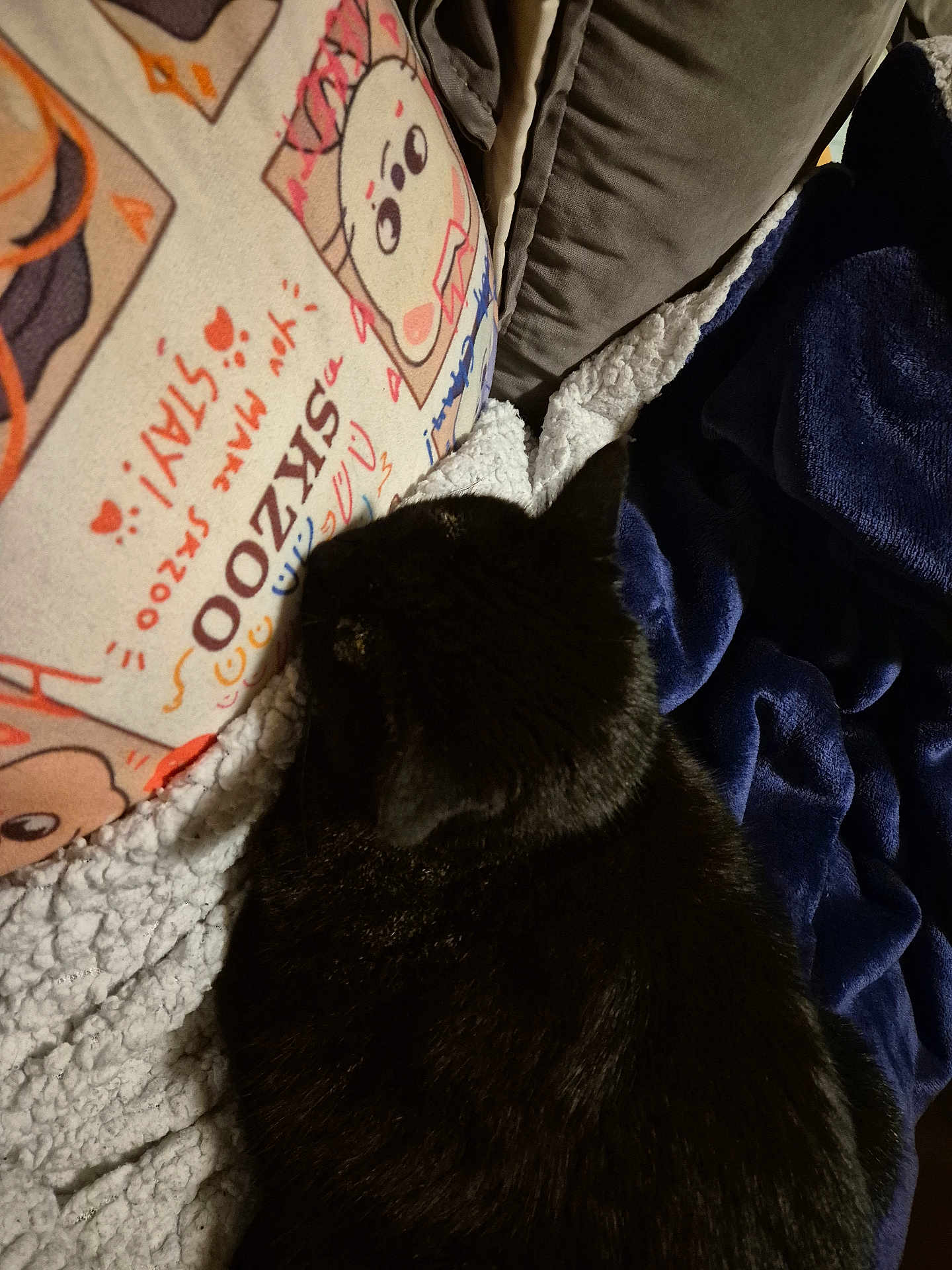 Nana participe au concours pour gagner de l'argent avec cette photo : cat, black_cat, pillow, blanket, couch, furniture, indoor, cozy, sleeping, pet, animal, soft, textile, resting, comfort, closeup, warm, cute, relaxation, home