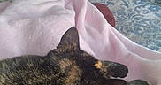 Sophie is registered to the contest to win money with this photo: