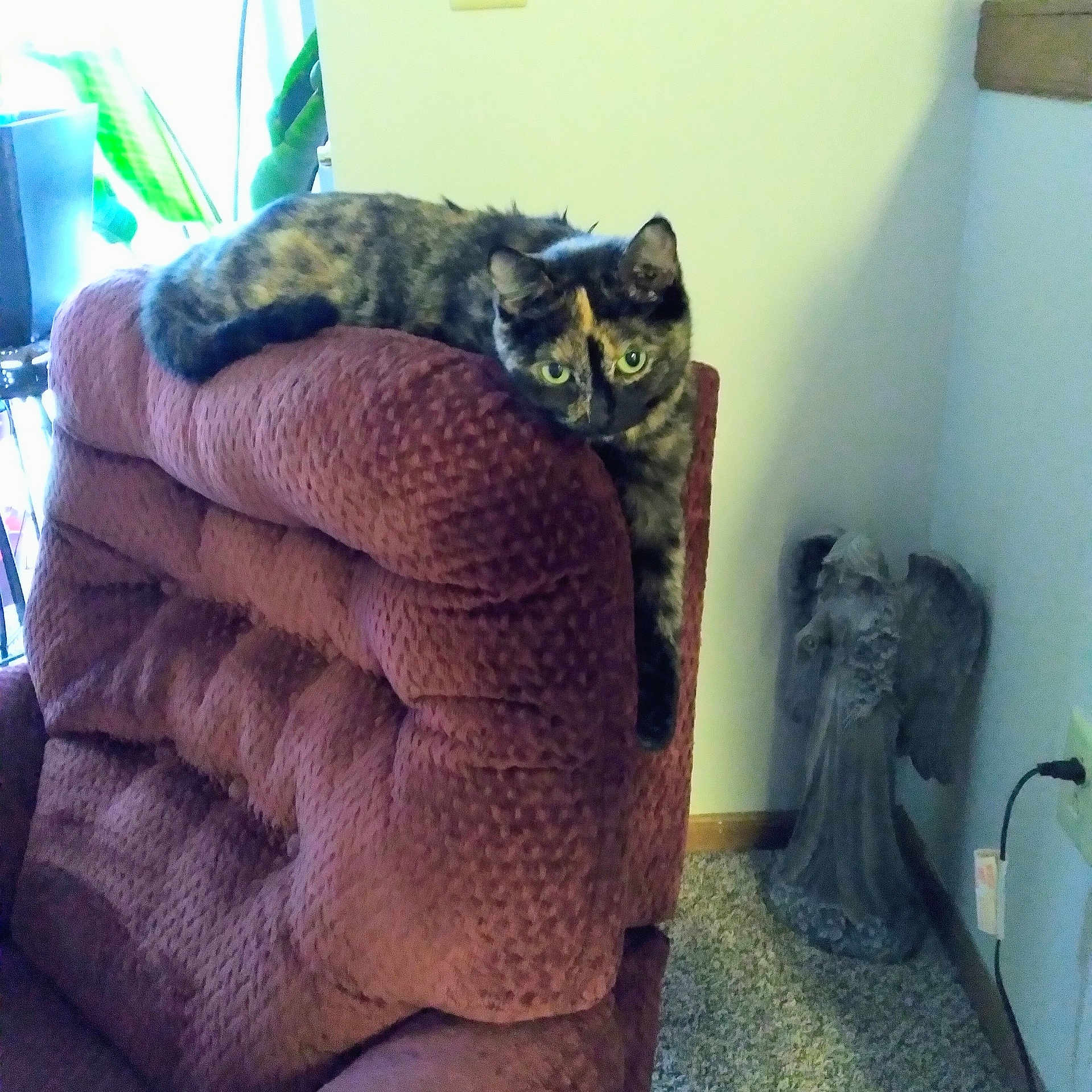 Sophie