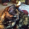 Sophie is registered to the contest to win money with this photo: