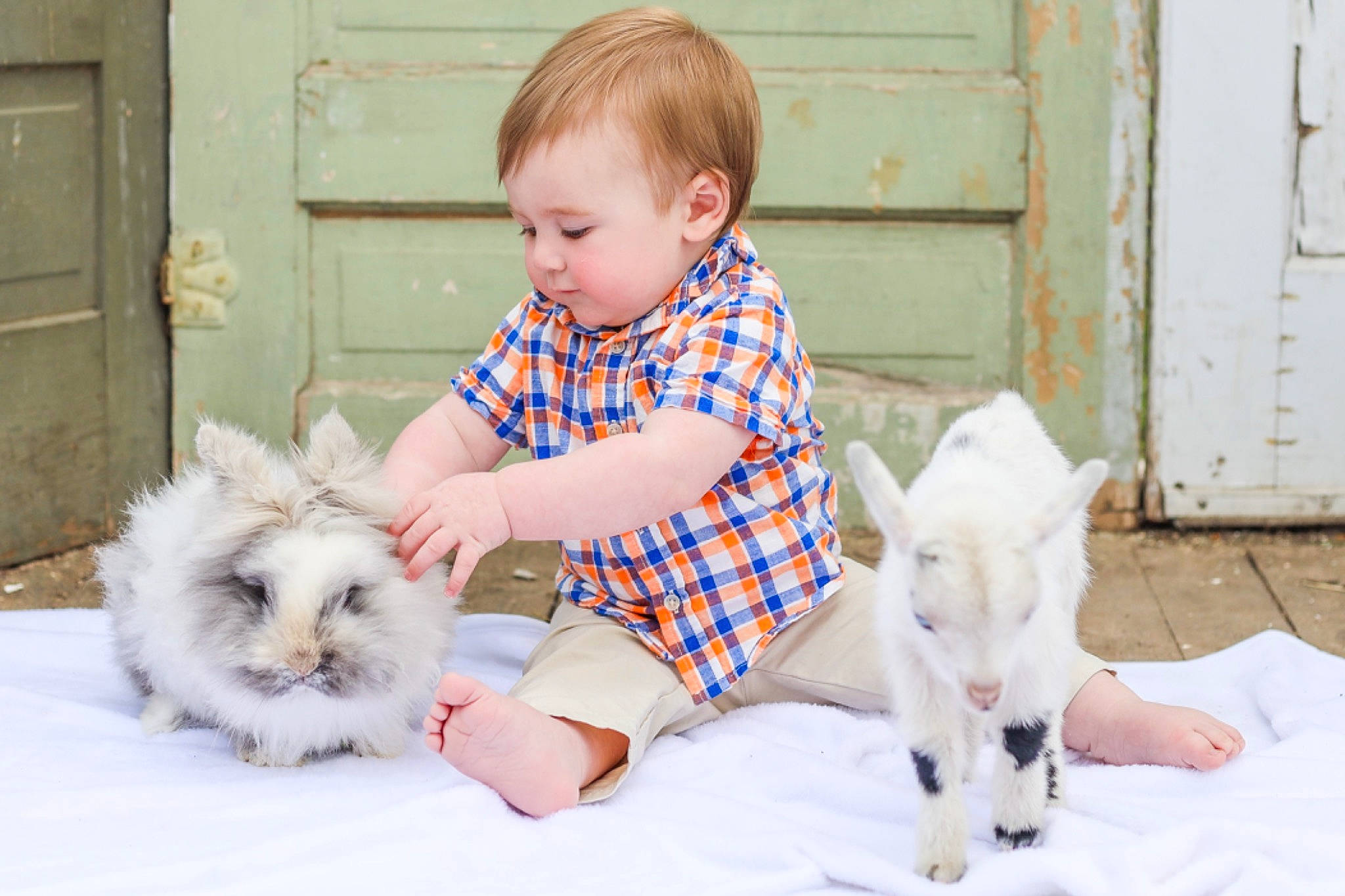 Kaycen joined the competition — help win amazing prizes! baby_toddler_clothing, carnivore, comfort, companion_dog, dog, dog_breed, door, fur, grass, green, happy, leg, pattern, person, photograph, sitting, toddler, toy, toy_dog, vertebrate