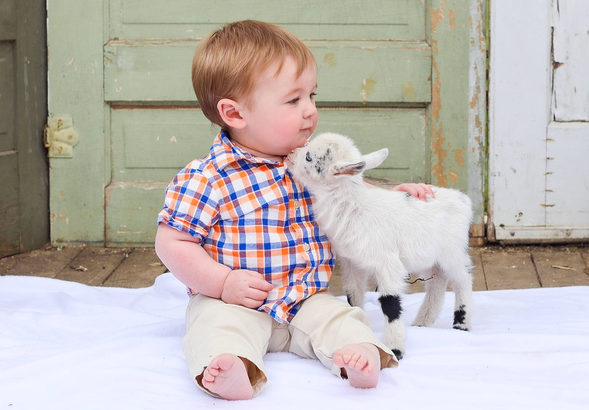 Kaycen joined the competition — help win amazing prizes! baby_toddler_clothing, carnivore, comfort, companion_dog, dog_breed, door, happy, head, knee, leisure, pattern, person, plaid, sitting, sleeve, standing, stuffed_toy, t_shirt, teddy_bear, toddler