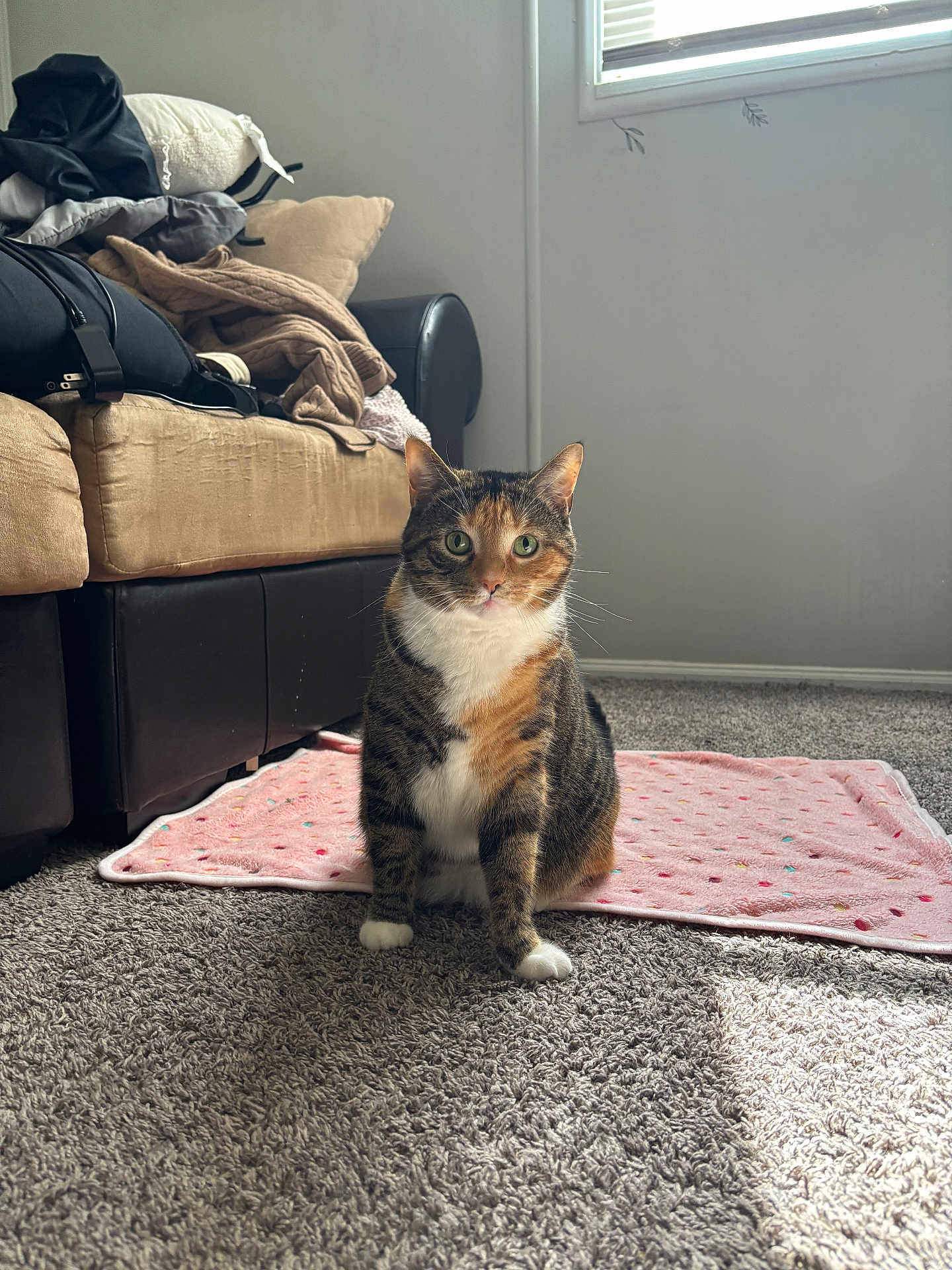 Patches