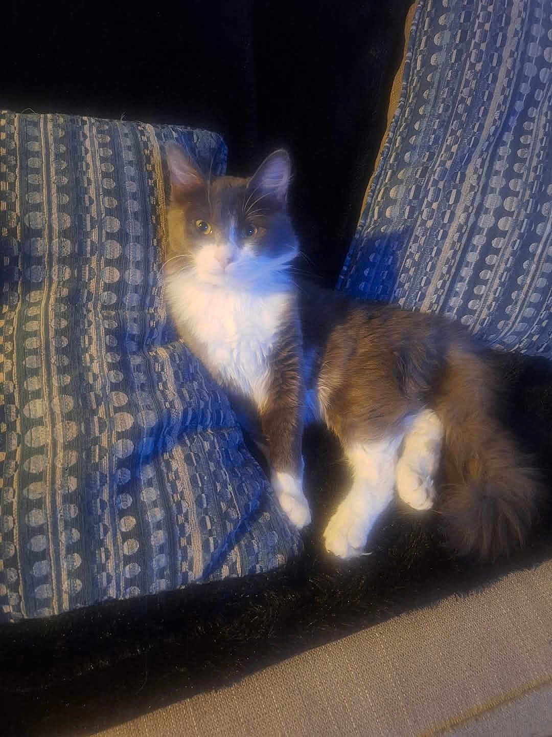 Salem