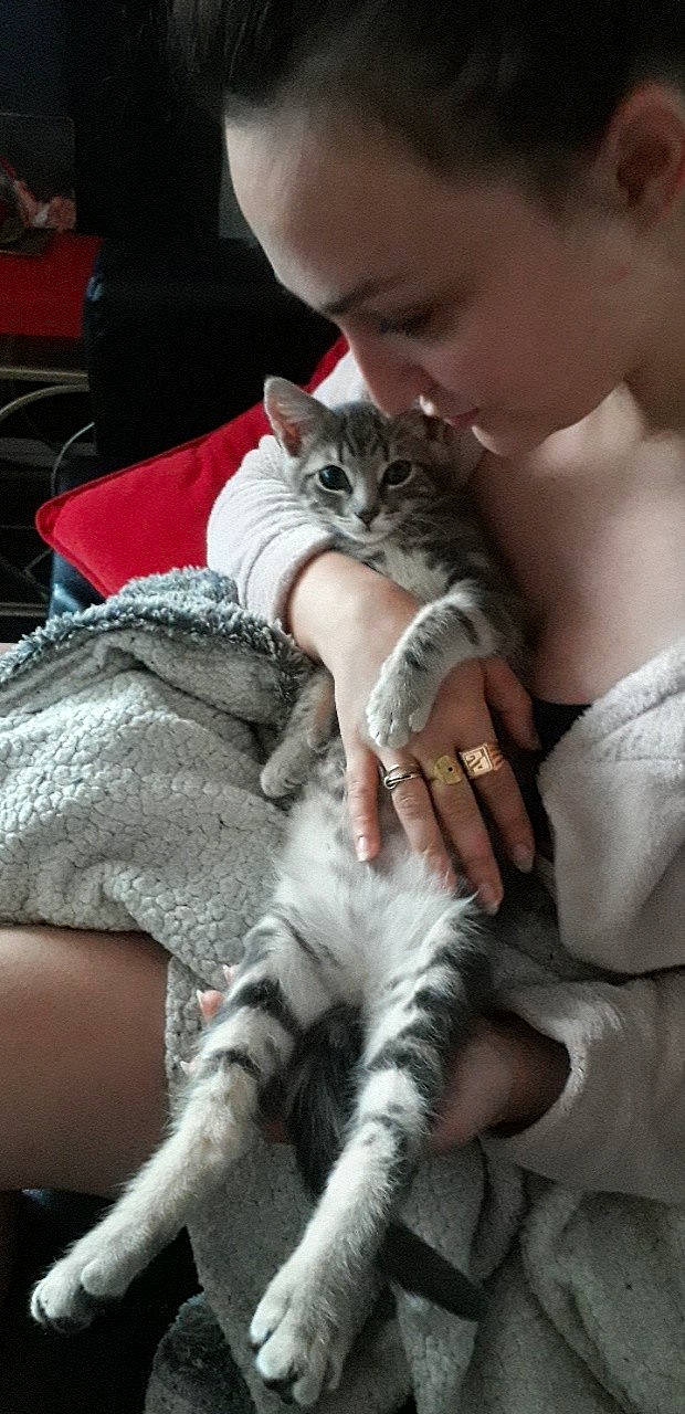 Tinou participe au concours pour gagner de l'argent avec cette photo : aegean_cat, american_shorthair, asian, carnivore, cat, claw, domestic_short_haired_cat, dragon_li, egyptian_mau, european_shorthair, felidae, kitten, mammal, oriental_longhair, polydactyl_cat, singapura, small_to_medium_sized_cats, tabby_cat, whiskers