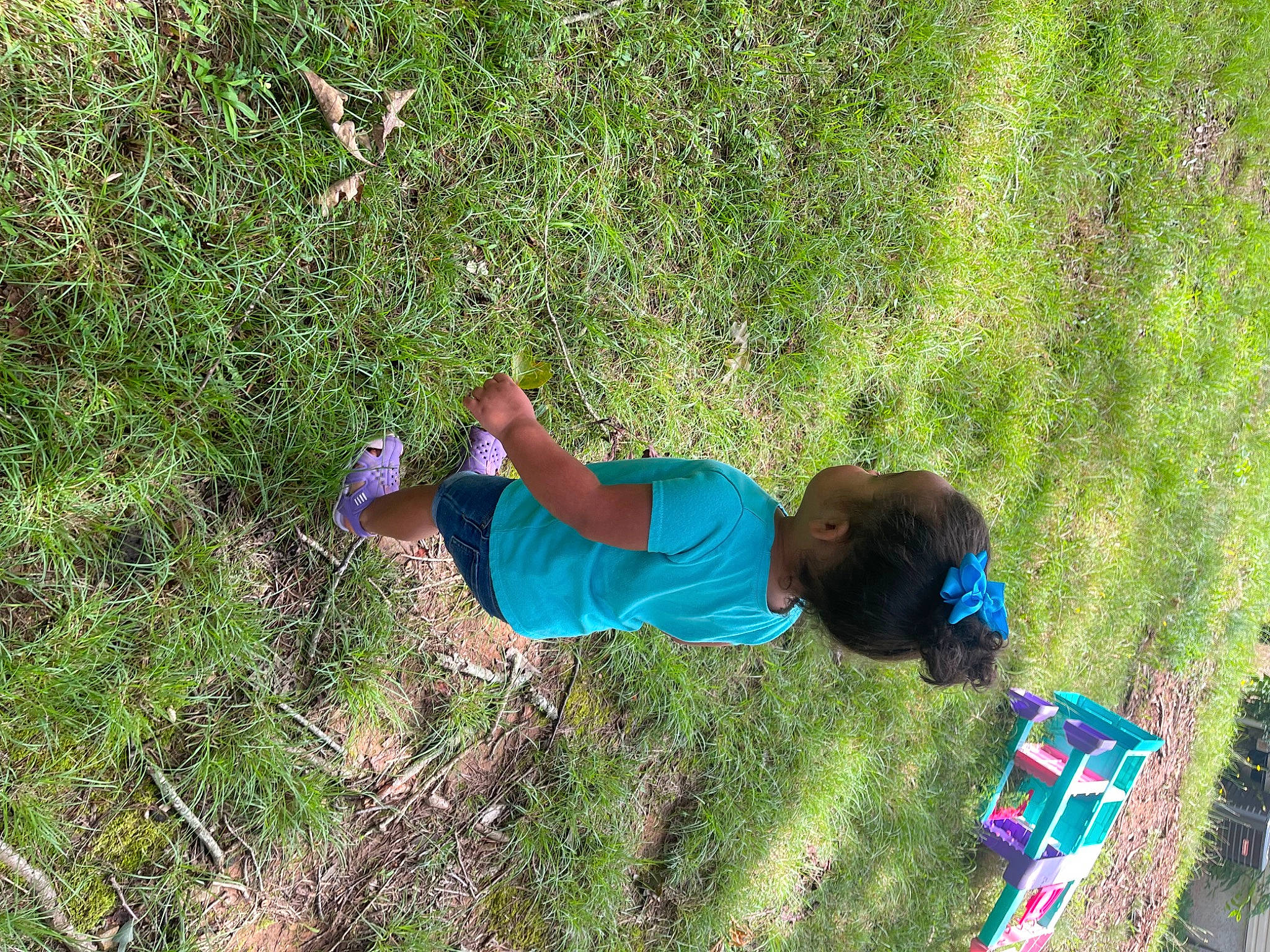 Oaklynn joined the competition — help win amazing prizes! elbow, electric_blue, fun, grass, grass_family, grassland, groundcover, landscape, leisure, pasture, people_in_nature, person, plant, play, recreation, shrub, soil, t_shirt, toddler, tree