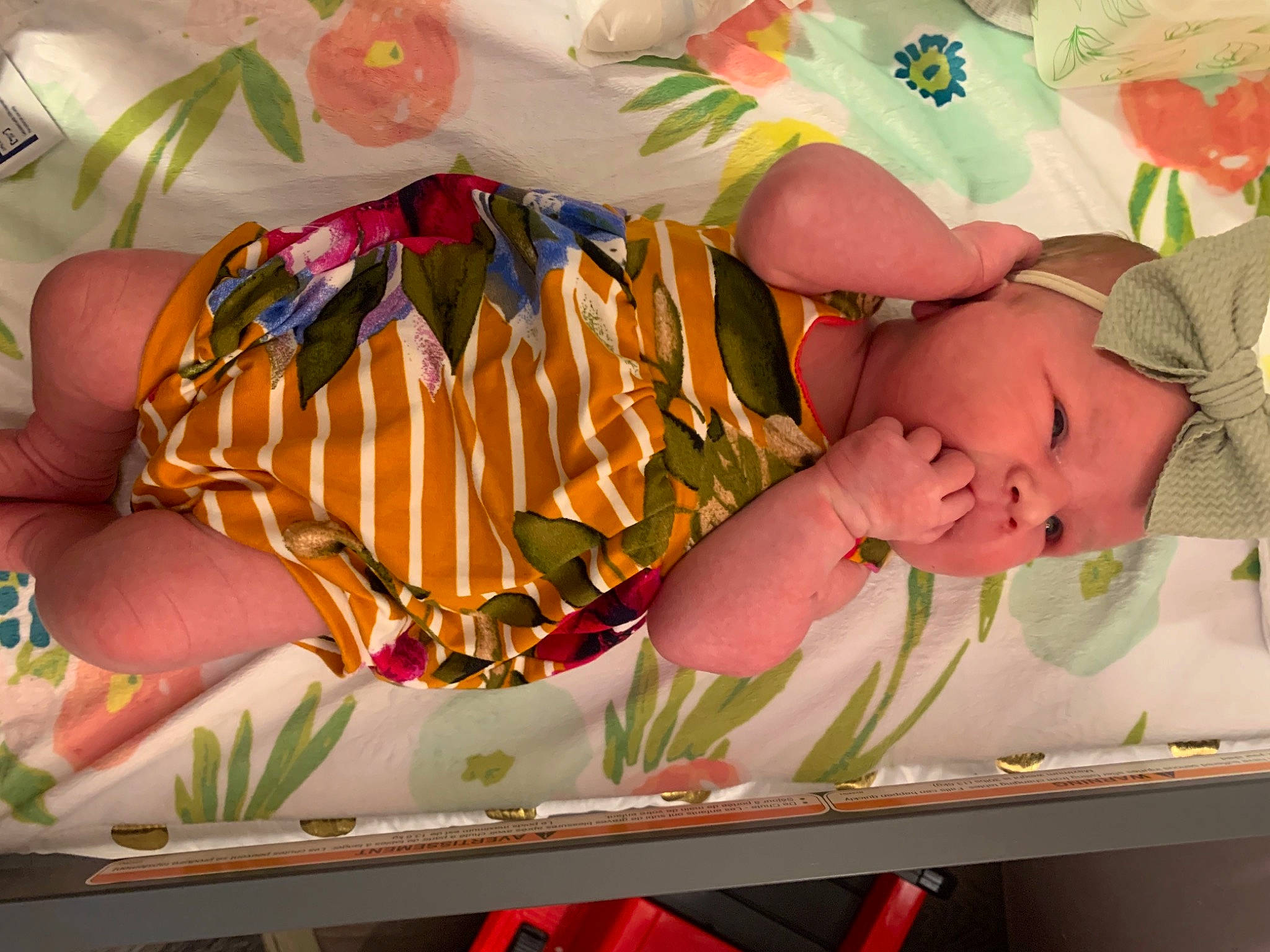 Evelyn Rose is registered to the contest to win money with this photo: art, baby, baby_products, baby_safety, baby_toddler_clothing, bedding, child, event, headwear, illustration, linens, pattern, peach, person, room, toddler, visual_arts