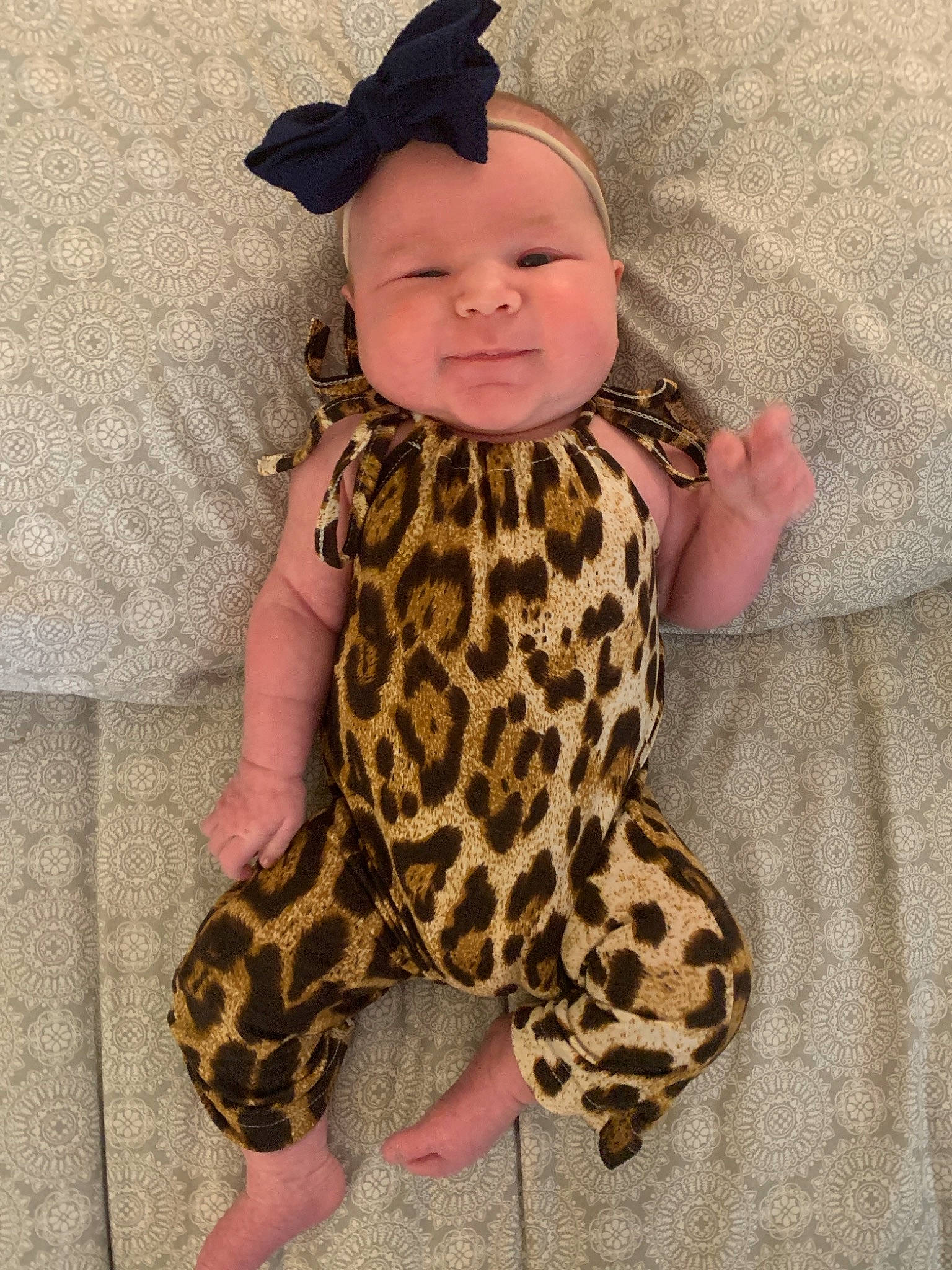 Evelyn Rose joined the competition — help win amazing prizes! baby, baby_toddler_clothing, cap, doll, eye, fawn, felidae, fur, giraffe, giraffidae, head, headgear, headwear, military_camouflage, pattern, person, skin, sleeve, stuffed_toy, terrestrial_animal